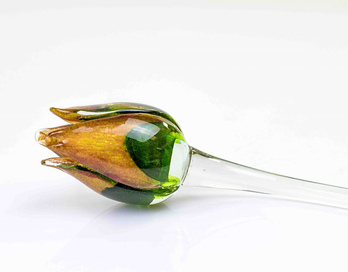 Loranto + Tulp, groen-oranje